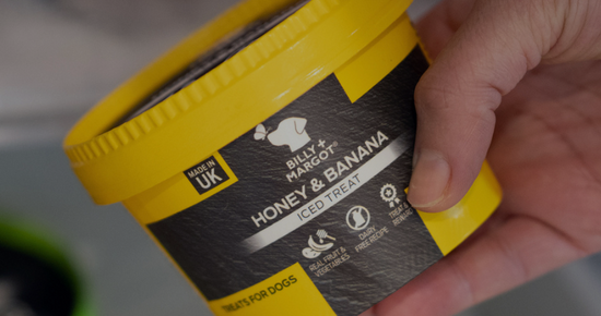 Billy and hot sale margot iced treats